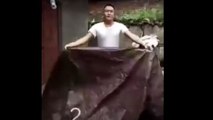 Un jeune chinois rate son tour de magie et se cogne contre une porte !