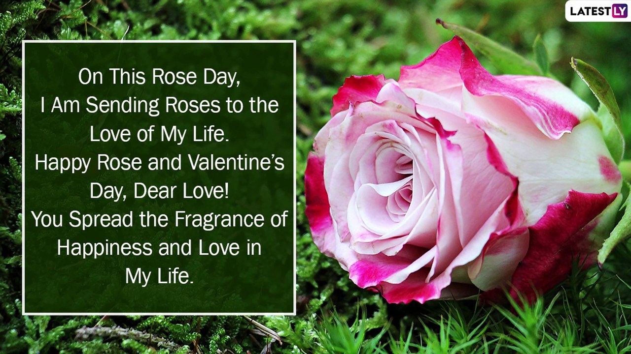 Happy Rose and Valentine’s Day 2022: Send Romantic Love Messages, Quotes & Images to Your Partner