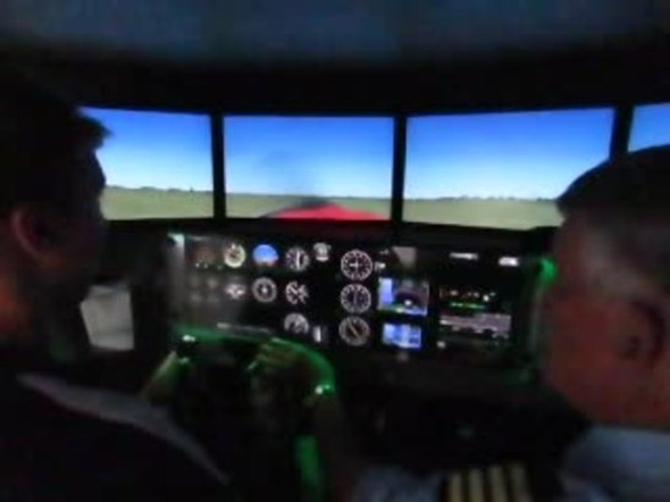 Flight simulation