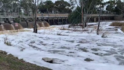 Wimmera Mail Times: Wimmera Weir flow July 2021