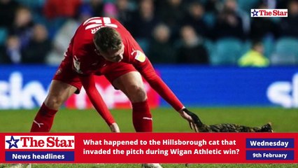 Top 3 Stories Today Wednesday February 9th 2022