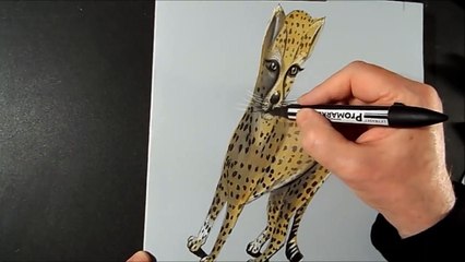 Drawing 3D Cheetah - Amazing Animals - Illusionistic Art