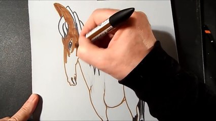 Drawing a 3D Horse- Trick Art