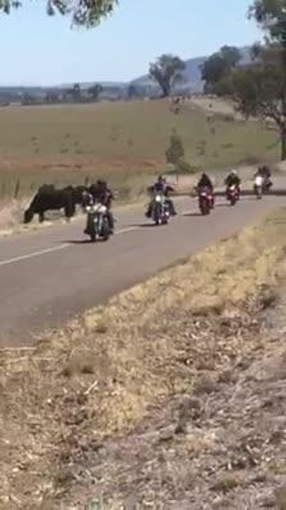 ride video