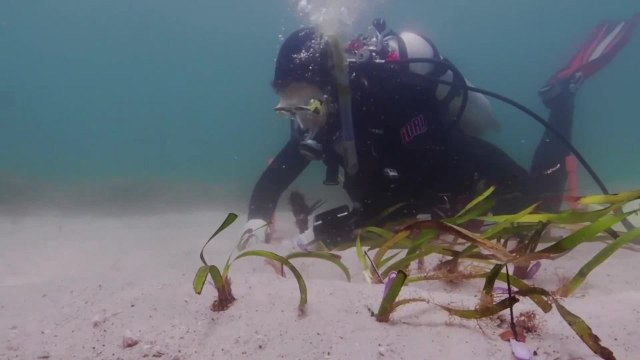 Port Stephens Examiner