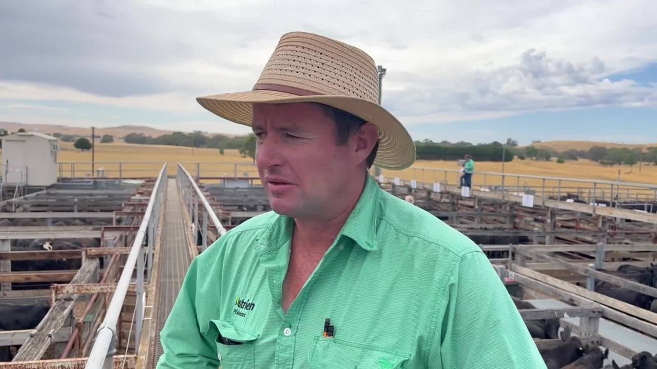 Weaner Sales
