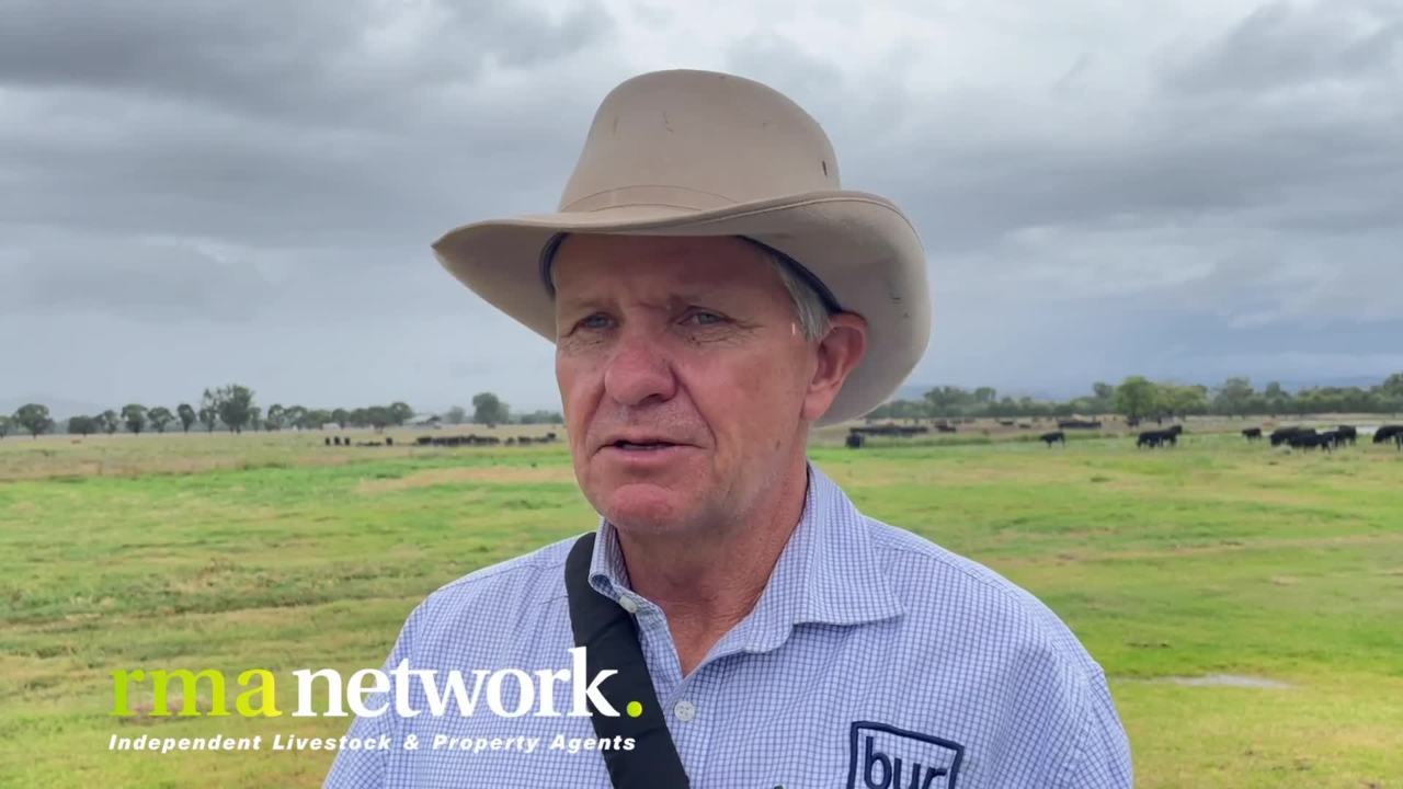 Wodonga Sale