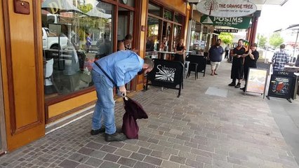 MAITLAND MERCURY: Snake caught in The Levee