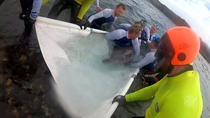 Dolphin rescue mission on North Stradbroke Island
