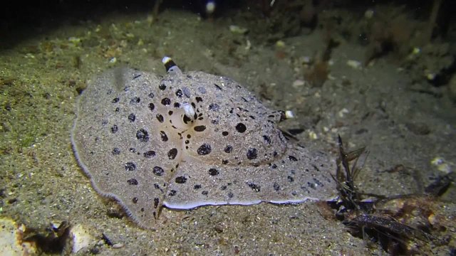 Port Stephens Examiner - Beneath the Surface