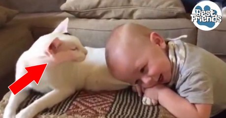 Ce bébé fait un câlin à son chat. Et la réaction du félin est adorable !
