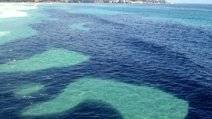 Les passants tombent sur cette étrange ombre géante à quelques mètres du rivage