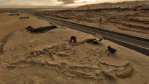 Atacama (Chili) : un cimetière de baleines en plein coeur du désert étonne tout le monde