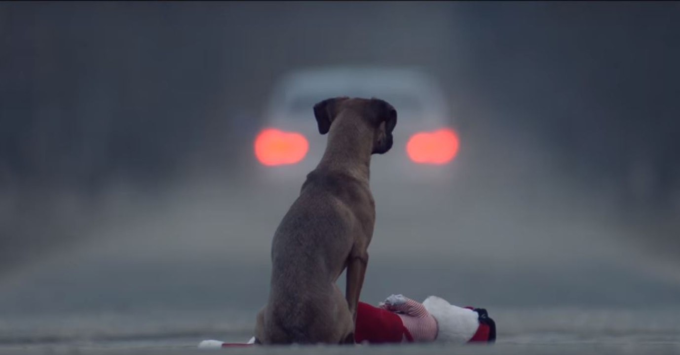 Redécouvrez l'une des campagnes chocs les plus marquantes contre l'abandon des animaux