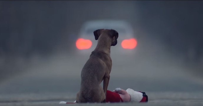 Redécouvrez l'une des campagnes chocs les plus marquantes contre l'abandon des animaux