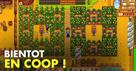Stardew Valley : le mode multijoueur arrivera au printemps !