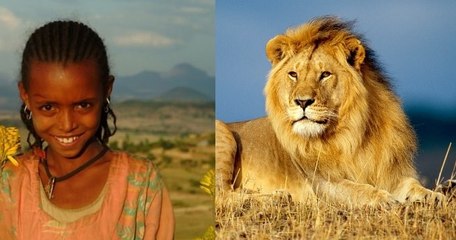 Kidnappée dans son village, cette jeune Ethiopienne a été sauvée... par trois lions !