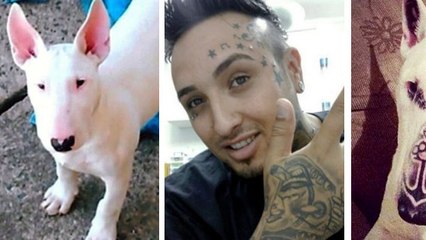 Il tatoue son chien pour une raison complètement absurde !