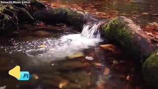 Relaxing Rain sounds, Soothing River Sounds, Near a Beautiful Water falling form Mountains