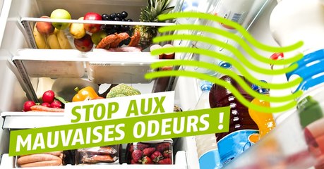 Comment se débarrasser naturellement des mauvaises odeurs dans votre frigo ?