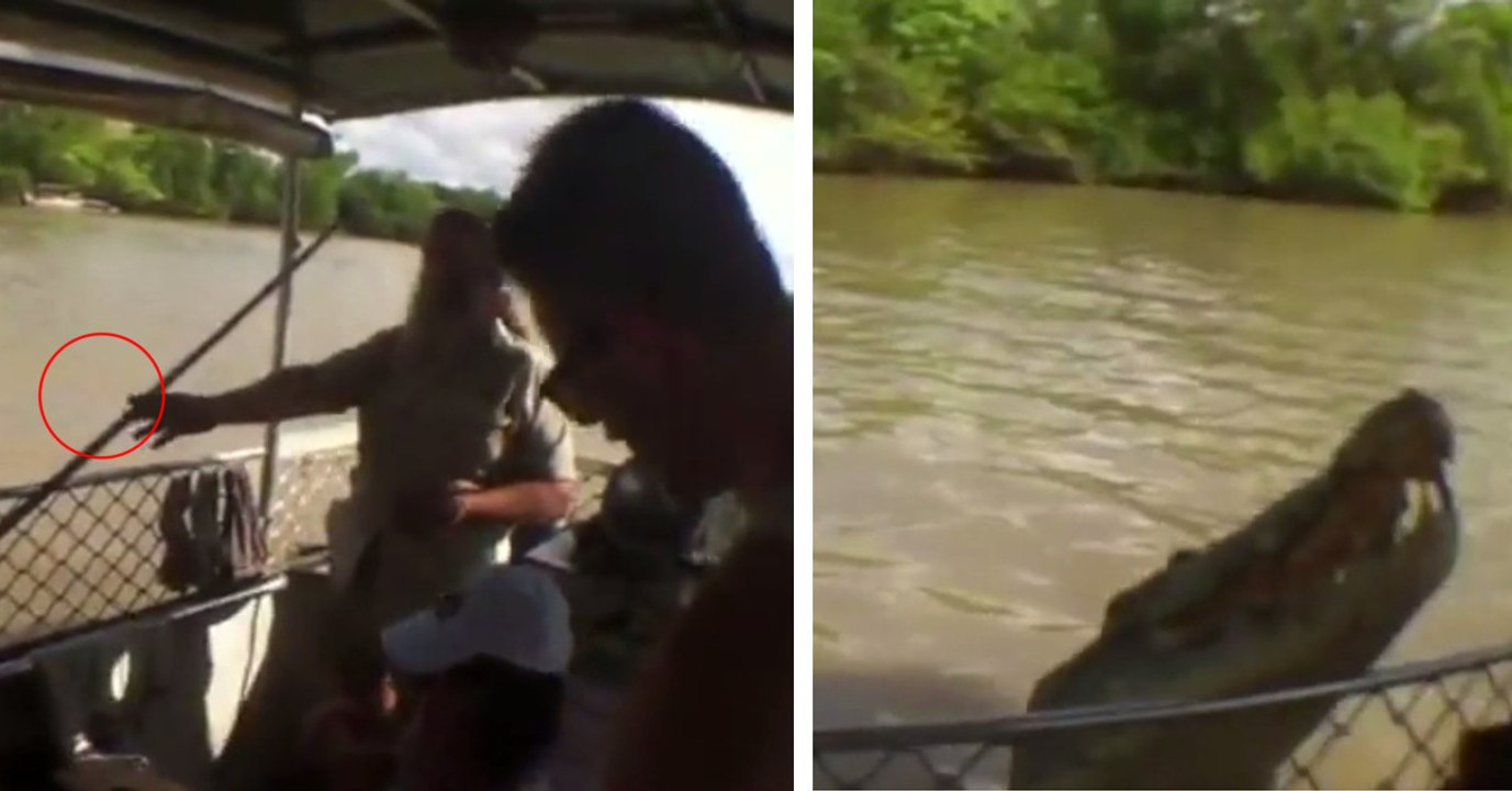 Australie : un guide touristique frôle la catastrophe sur son bateau à cause d'un crocodile