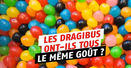 Dragibus : ont-ils tous le même goût ?