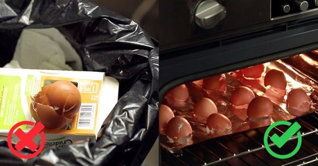 Transformez vos coquilles d’œufs en poudre pleine de calcium