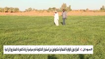 أزمة الكهرباء في السودان تتفاقم.. ومزارعون يحذرون من خسارة الموسم الشتوي