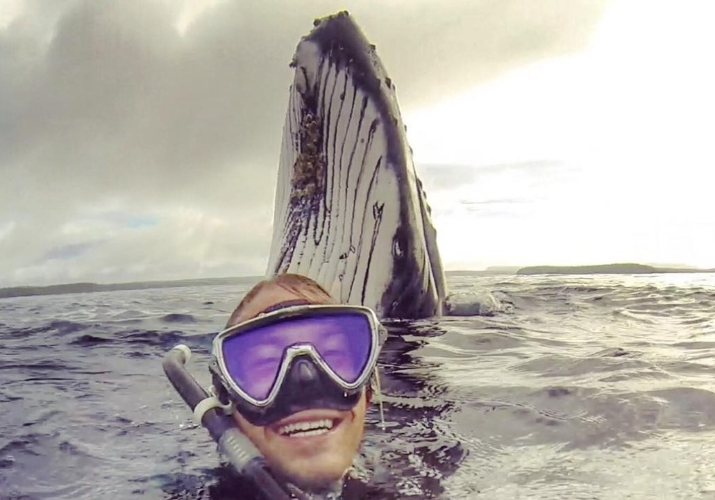 Cet homme a sans doute pris le selfie le plus impressionnant que vous n'avez jamais vu !