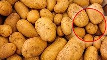 Echirolles : cette femme trouve une grenade dans son sac de pommes de terre