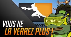 Overwatch : voici pourquoi la grenouille Pepe est interdite en Overwatch League