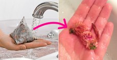 Le thé pour le bain, la nouvelle tendance bien-être qui va détrôner les boules de bains effervescente
