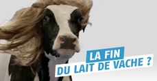 Le lait de soja, meilleur pour la densité osseuse que le lait de vache