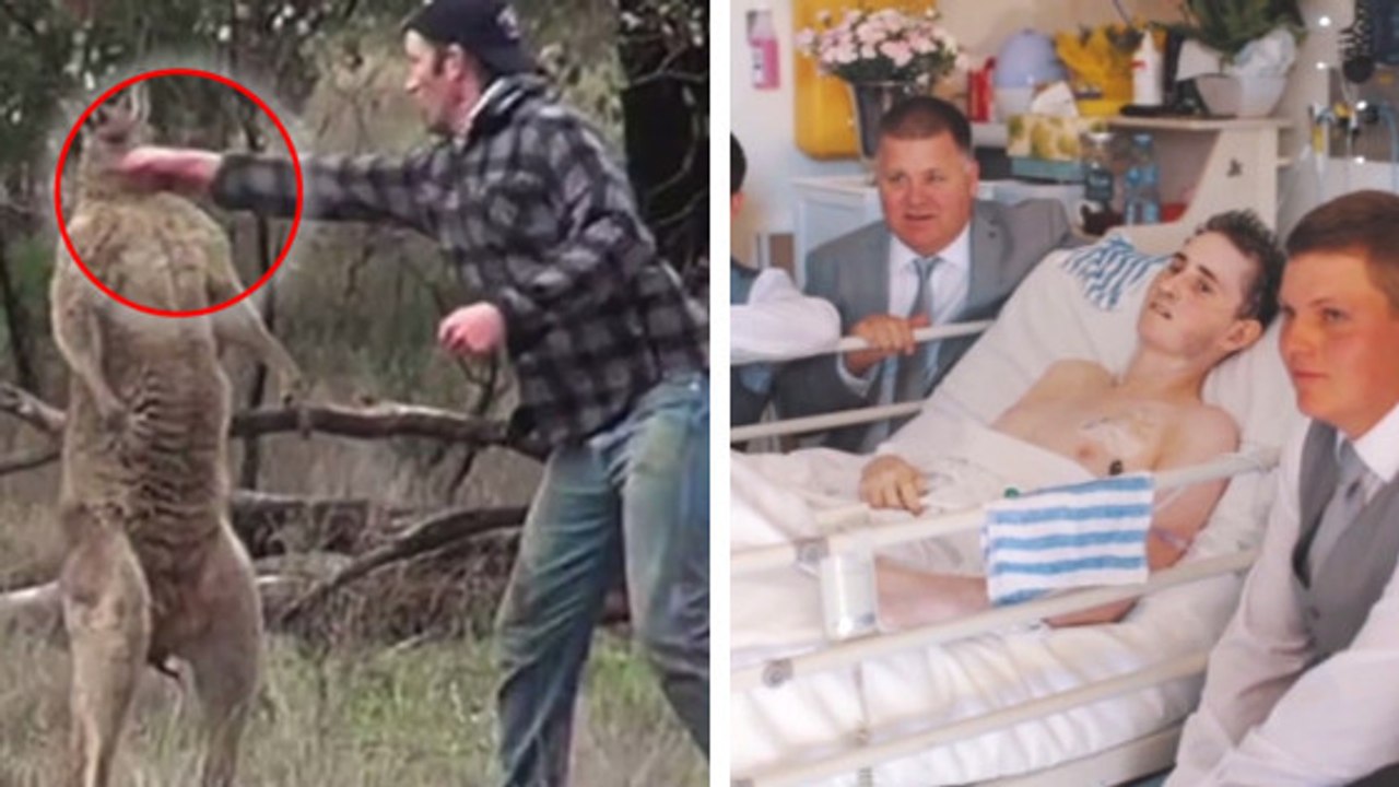 Australie : cet homme qui frappe un kangourou cache en fait une histoire tragique