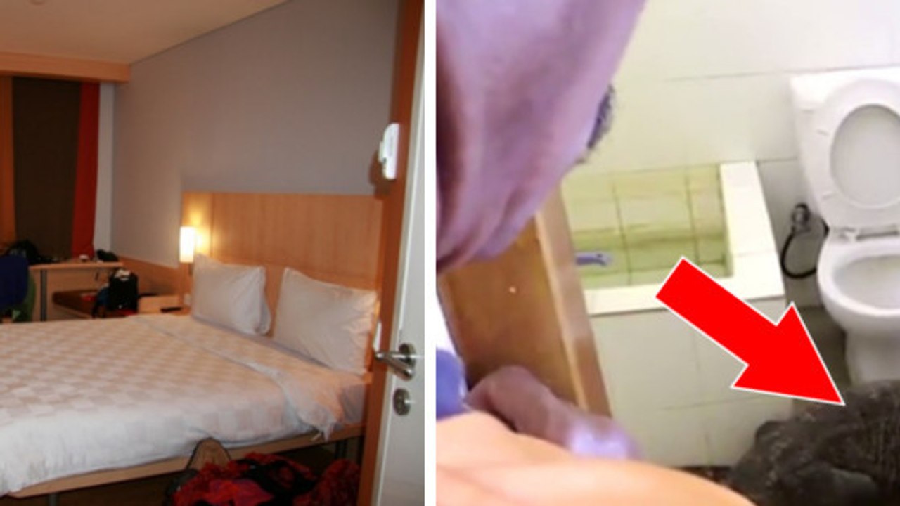 Indonésie : il trouve un dragon de Komodo dans les toilettes de sa chambre d'hôtel
