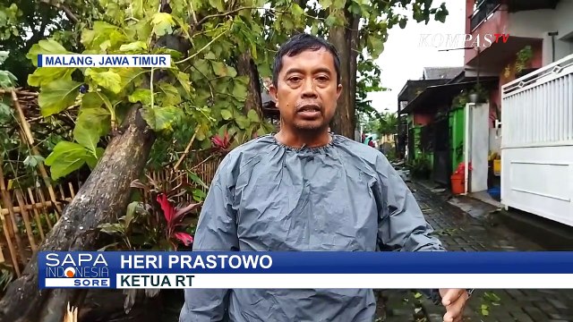 6 Pohon Tumbang Akibat Dahsyatnya Guyuran Hujan Es dan Angin Kencang di Kota Malang