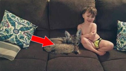 Elle envoie la photo de son nouveau chien à son mari quand il se rend compte qu'il s'agit d'un dangereux animal !