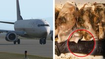 Classe affaire : cette cliente est choquée par la nourriture servie dans l'avion