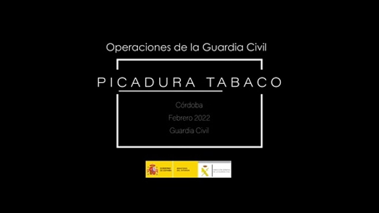 Contrabando de picadura de tabaco (Montilla)