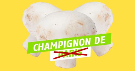 Champignons de Paris, il ne reste plus que 5 producteurs en Île-de-France !