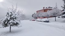 Ahlat'ta kar yağışı etkili oldu