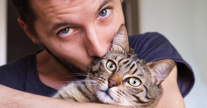 SANTÉ : Attention, les chats seraient peut-être à l'origine de la maladie d'Alzheimer !