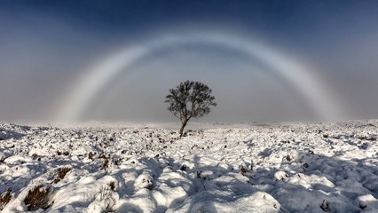 L'apparition d'un arc-en-ciel "fantôme" en Ecosse intrigue tout le monde