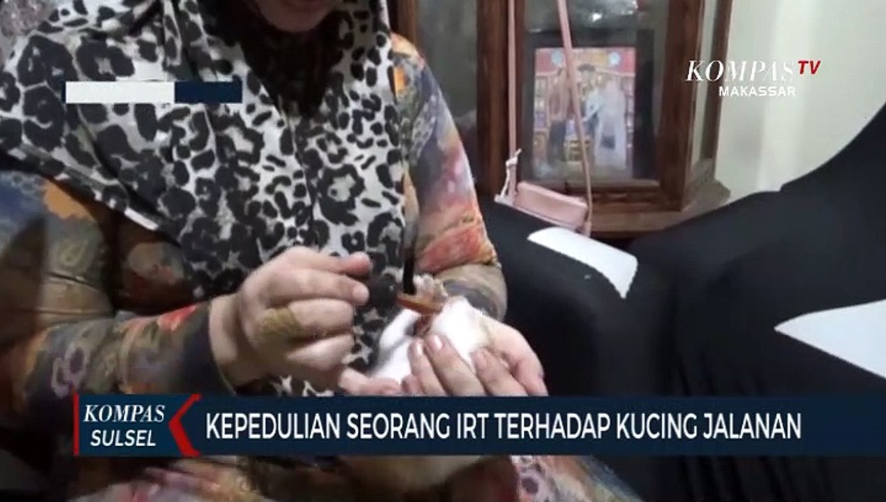 Kepedulian Seorang IRT Terhadap Kucing Jalanan