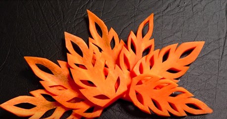 Astuce : comment transformer vos carottes en de magnifiques feuilles !