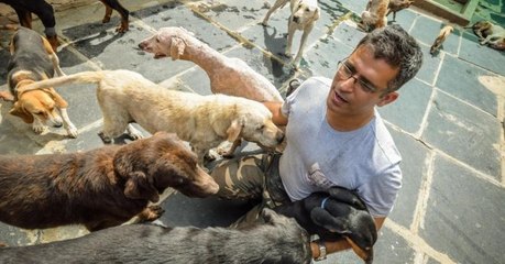 En Inde, un homme recueille 735 chiens errants dans sa ferme