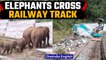 Watch: A herd of elephants struggle to cross railway tracks in Tamil Nadu | Watch Viral Video | Oneindia News