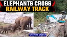 Watch: A herd of elephants struggle to cross railway tracks in Tamil Nadu | Watch Viral Video | Oneindia News