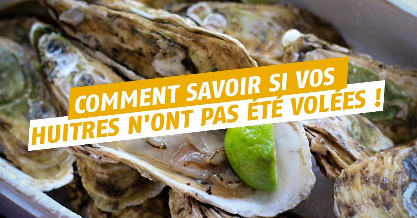 Deux astuces révolutionnaires pour contrer les vols d'huitres