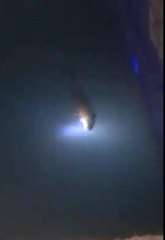 Nesli tükenen su samuru Kastamonu'da görüldü